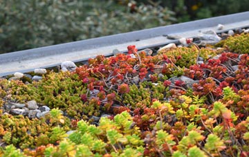the cost of Wheldrake green roof installation