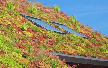 Wheldrake living roof systems
